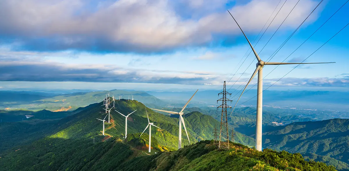 Global Market Layout.jpg